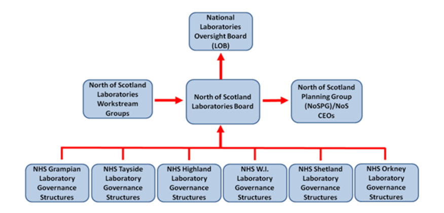 NoS Labs Governance Structure
